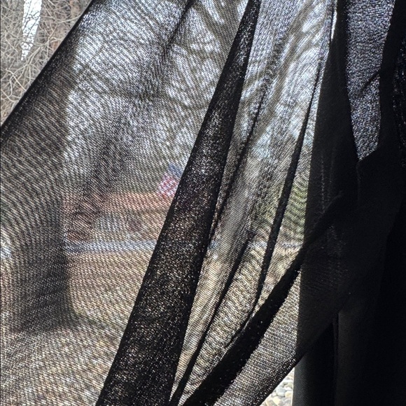 Tiana B. Black Dress with Sheer Sleeves and Embellished Trim - Picture 4 of 4